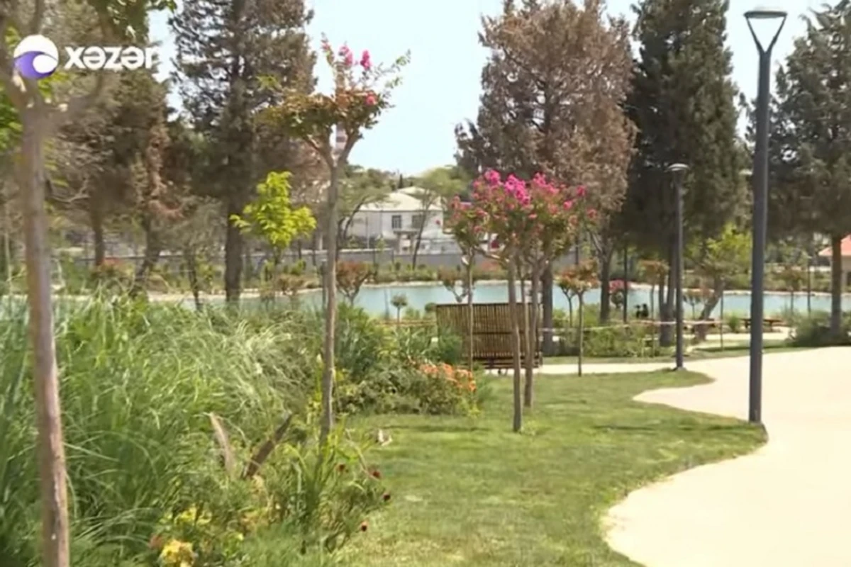 Bakıda parkda 15 yaşlı oğlan ÖLDÜRÜLDÜ - Şahidlər danışdı - VİDEO