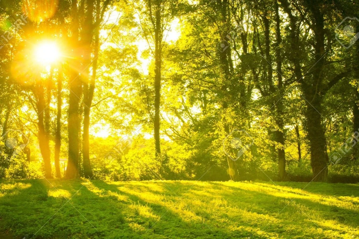 Avqust ayına olan hava proqnozu Avqust ayına olan hava proqnozu