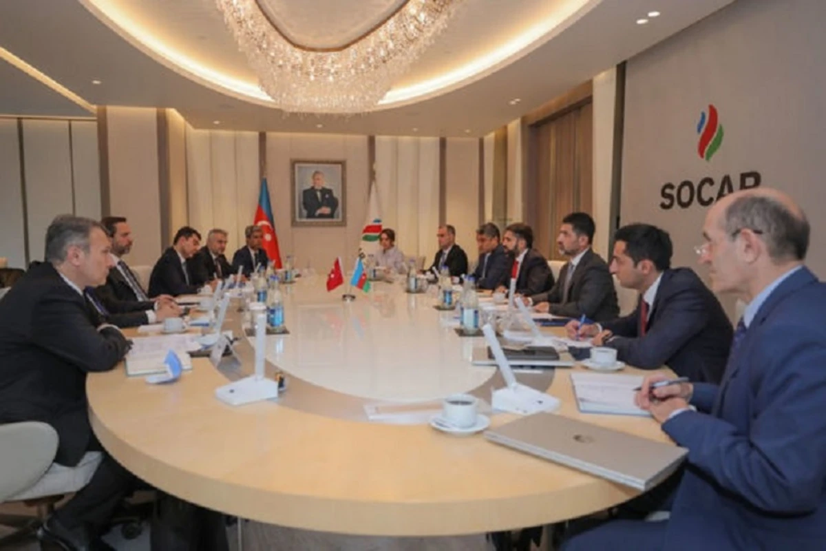 Президент SOCAR встретился с замминистра энергетики и природных ресурсов Турции - ФОТО