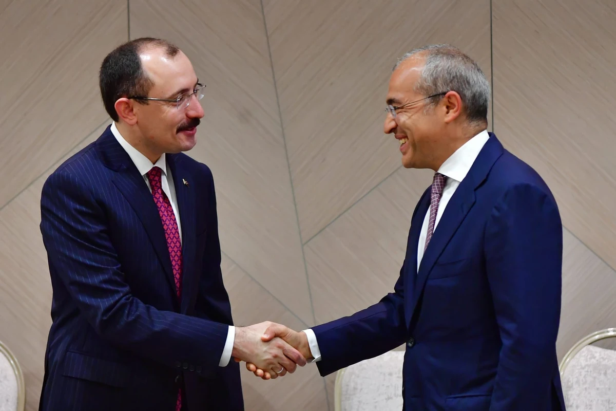 Mikayıl Cabbarov türkiyəli nazirlə görüşdü - FOTO