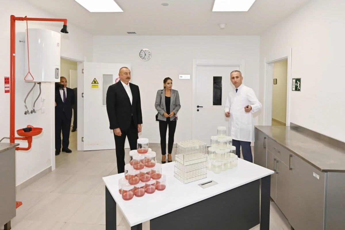 Ильхам Алиев и Мехрибан Алиева ознакомились с предприятием ООО Grand-Agro Invitro - ФОТО