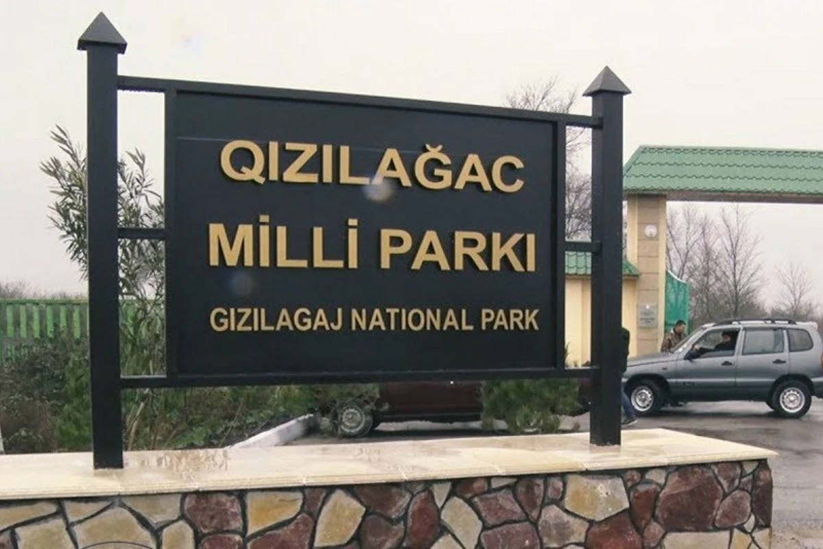 Parkın mühafizə rejimini pozan şəxs saxlanılıb