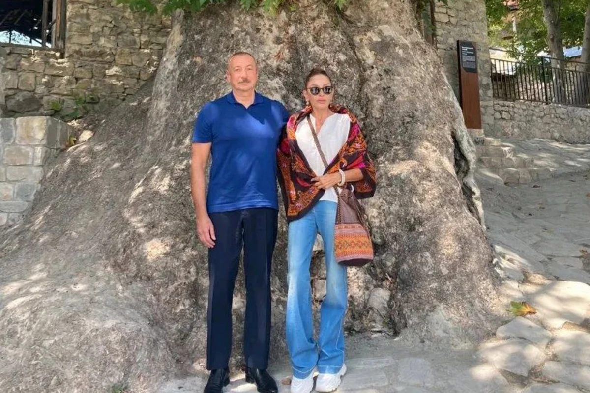 Mehriban Əliyeva Basqal qəsəbəsindən paylaşım edib - FOTO