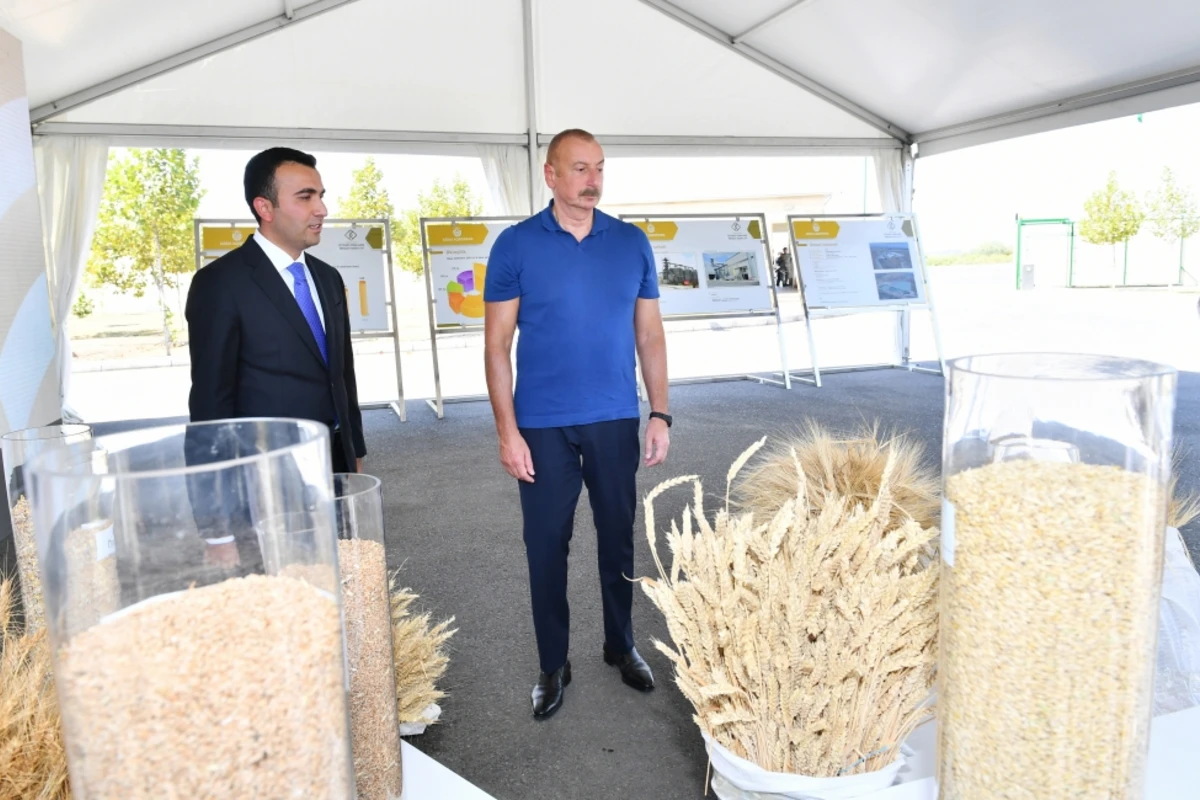 Prezident İlham Əliyev “Ağsu Aqropark”ın fəaliyyəti ilə tanış olub - YENİLƏNİB