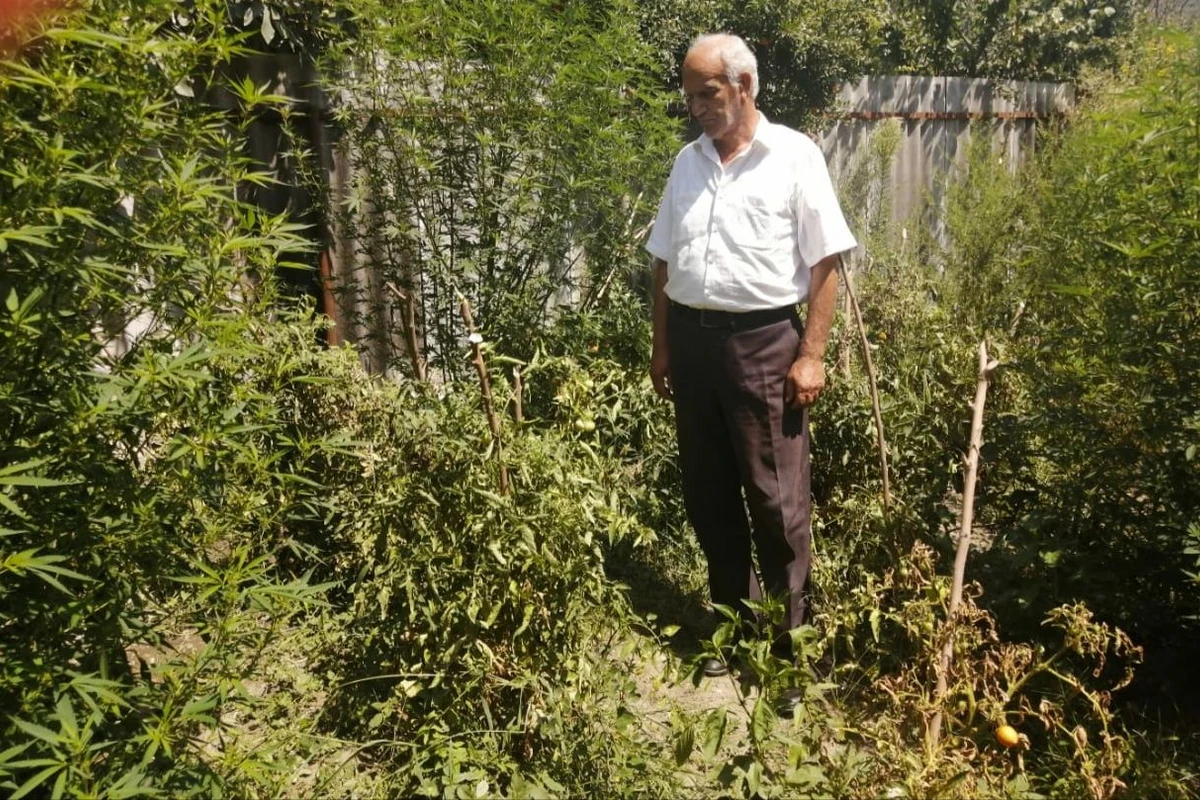 Narkotik alveri ilə məşğul olan İsmayıllı sakini saxlanılıb - FOTO Narkotik alveri ilə məşğul olan İsmayıllı sakini saxlanılıb - FOTO
