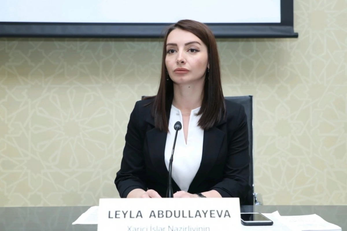 Azərbaycan danışıqların imitasiyası ilə bağlı vəziyyətin təkrarlanmasını istəmir - Leyla Abdullayeva