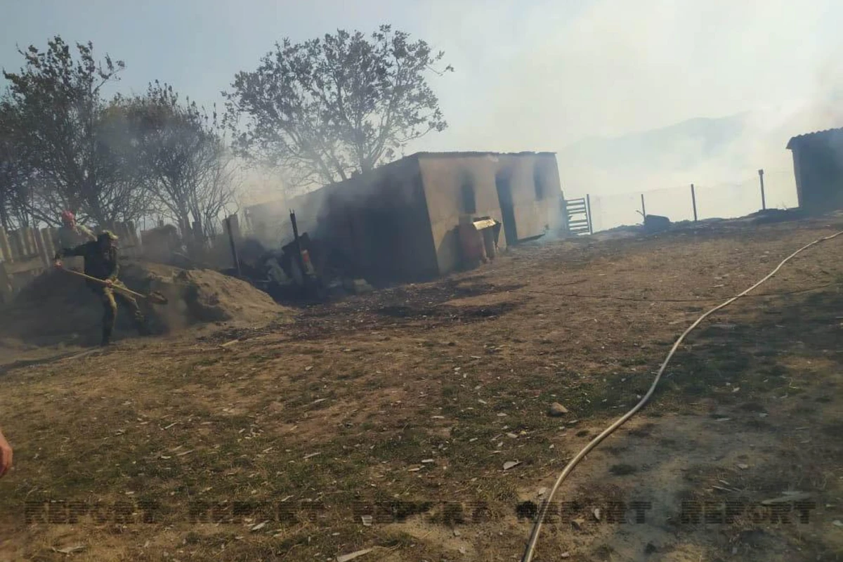 Şabranda meşə yanğını evə keçib, 3 ev yanıb - FOTO