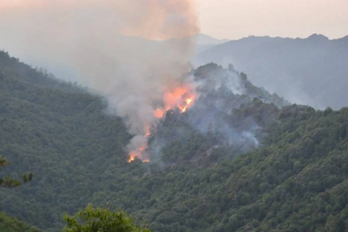 ETSN ermənilərin Laçın və Xocalı meşələrini yandırmasını pisləyib