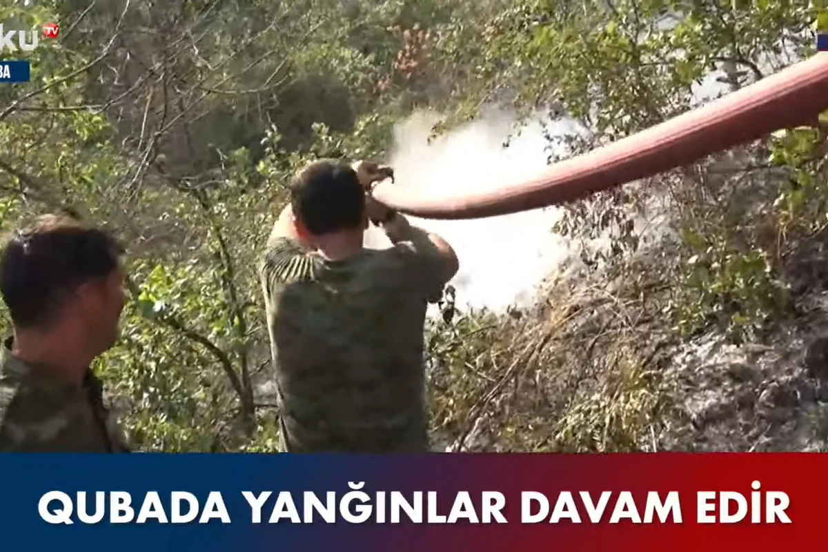 Qubada yanğın baş verən ərazidə son vəziyyət - VİDEO