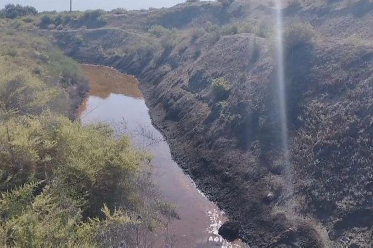Neftçalada yod-brom zavodunun tullantı suları kollektora axıdılır