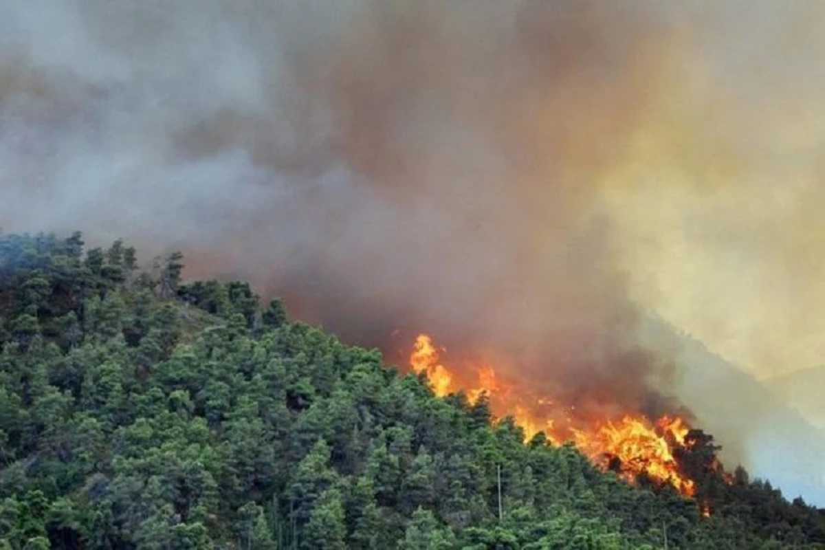 Пожар в Шабране локализован