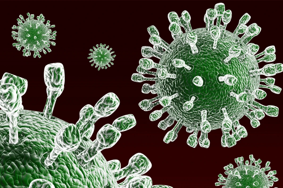 Bakıda insanlar arasında virus yayılıb - Həkimdən XƏBƏRDARLIQ - VİDEO Bakıda insanlar arasında virus yayılıb - Həkimdən XƏBƏRDARLIQ - VİDEO