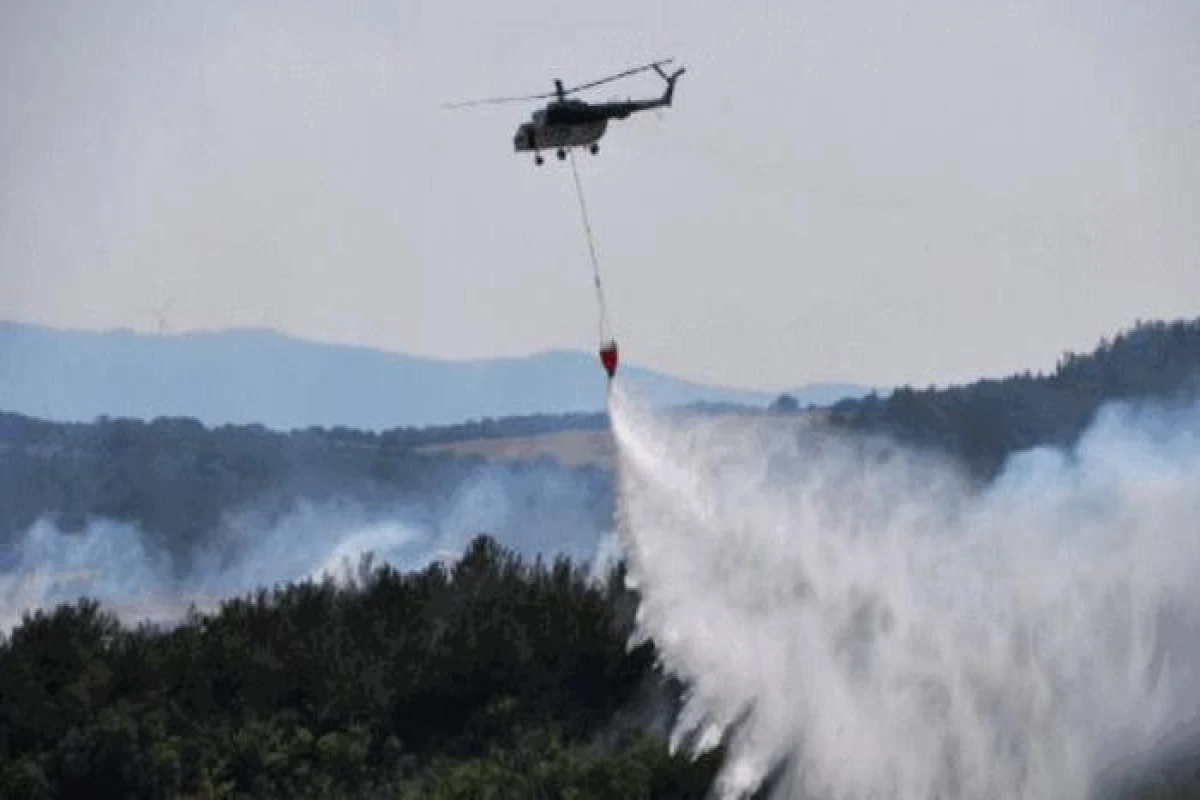 Qəbələdə dağlıq-meşəlik ərazidə yanğın başlayıb - Helikopter cəlb olunub