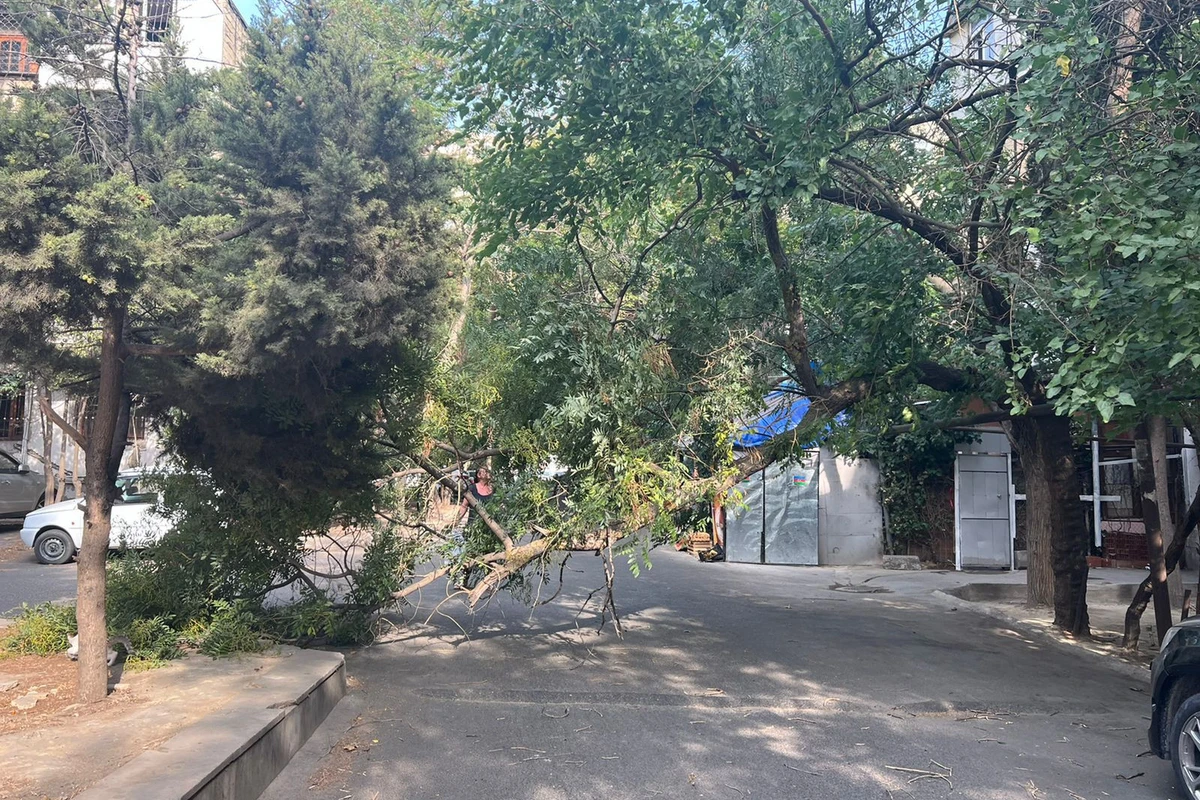 Güclü külək Bakıda bir sıra fəsadlar törədib - FOTO