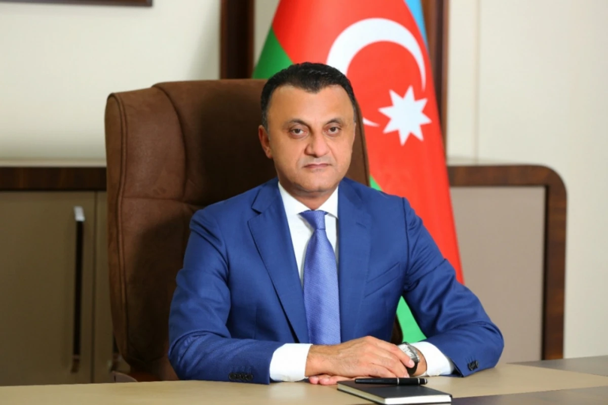 Назначен исполнительный директор TƏBİB