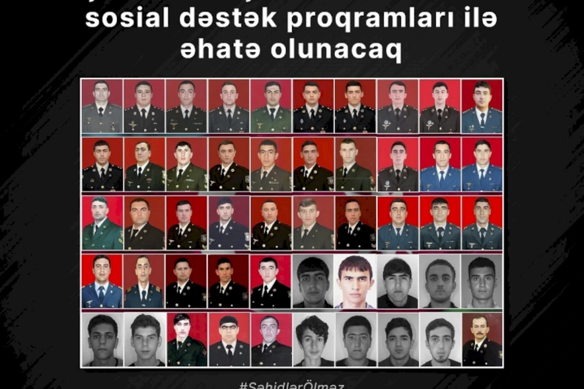 Şəhid hərbçilərin ailələri sosial dəstək proqramları ilə əhatə olunacaq