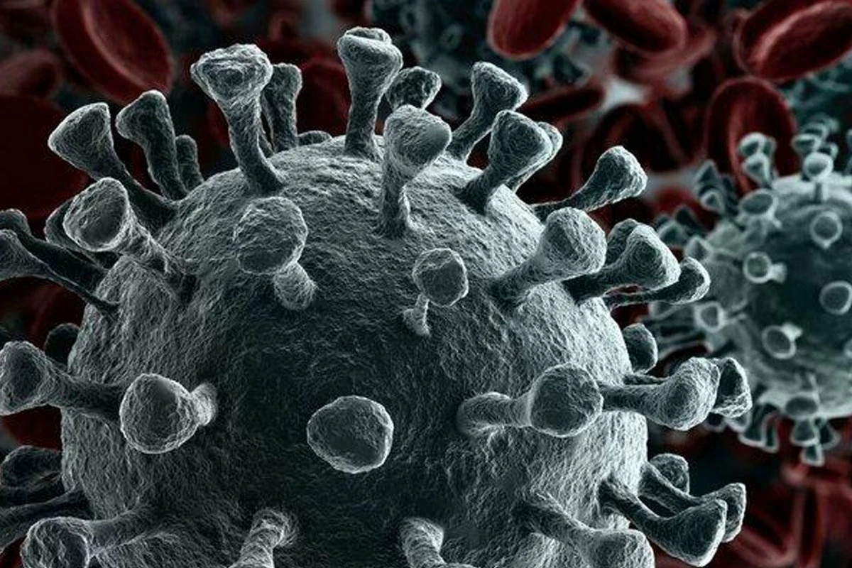 Bu qış çətin keçəcək - Professordan yeni virus PROQNOZU