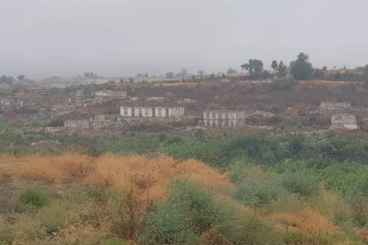 AMEA: “Şuşada işğalçıların dağıtdığı meşələrin yerini kolluq basıb” - FOTO