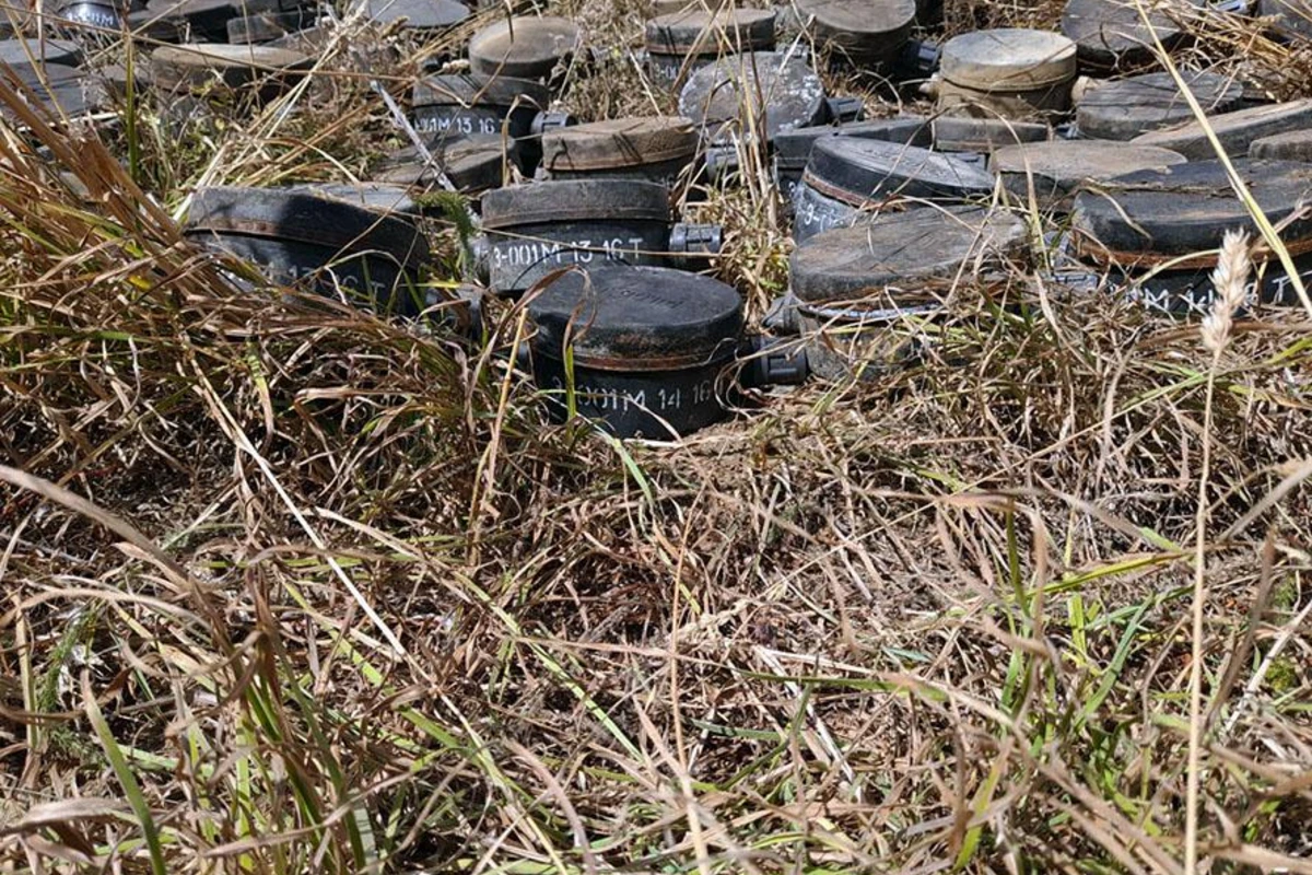В Дашкесане обезврежены мины, закопанные в целях совершения провокации - ОФИЦИАЛЬНО + ФОТО