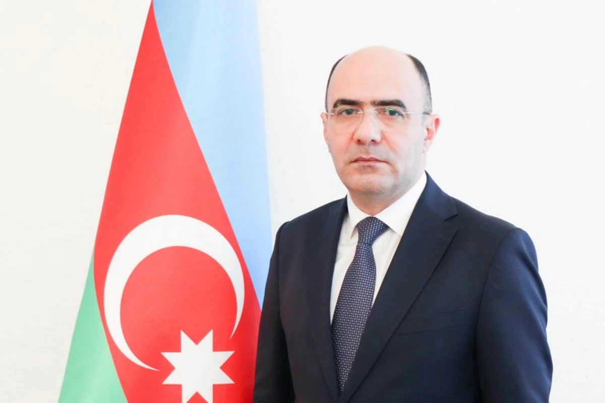 Nazir müavini: Əczaçılıq sahəsində ciddi problemlər var Nazir müavini: Əczaçılıq sahəsində ciddi problemlər var