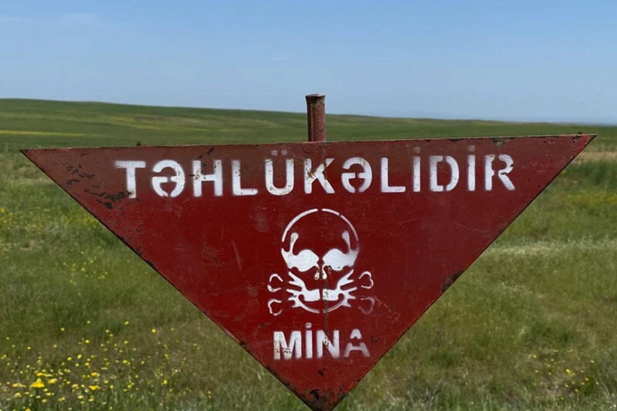 Bu il aşkarlanan minaların sayı açıqlanıb