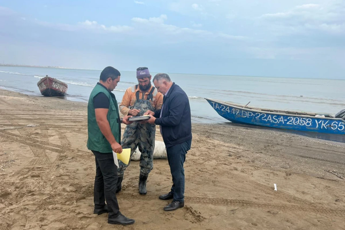 Qanunsuz ov edən şəxslər cəzalandırılıb - FOTO Qanunsuz ov edən şəxslər cəzalandırılıb - FOTO