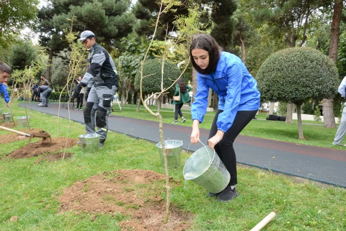 Bakıda yeni ağaclar əkdilər - FOTO Bakıda yeni ağaclar əkdilər - FOTO
