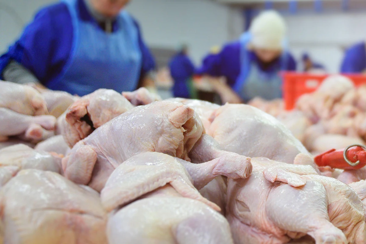 Азербайджан ограничил ввоз птицеводческой продукции из пяти стран