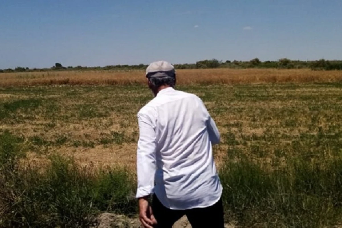 “Qoyunları göyərtilərimi yediyi üçün Natiqi öldürdüm” - Bakıdakı cinayətin TƏFƏRRÜATI