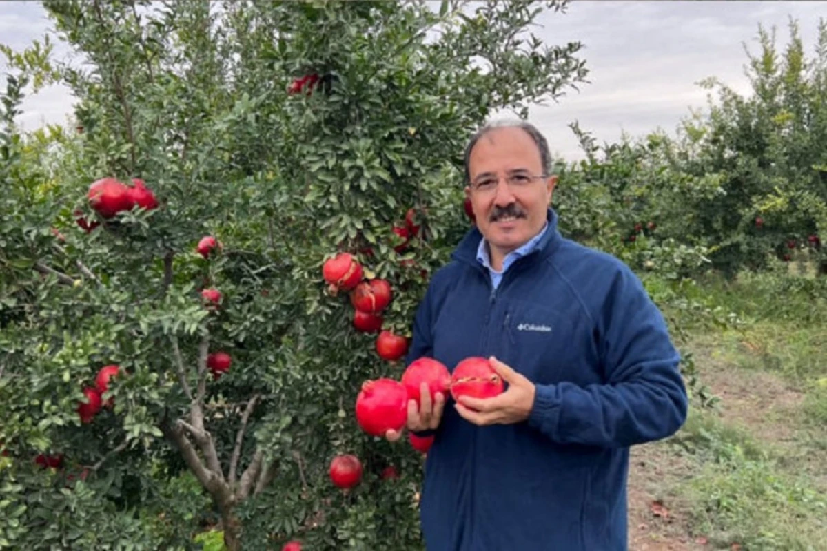 Türkiyəli diplomat Azərbaycan narından yazdı - FOTO