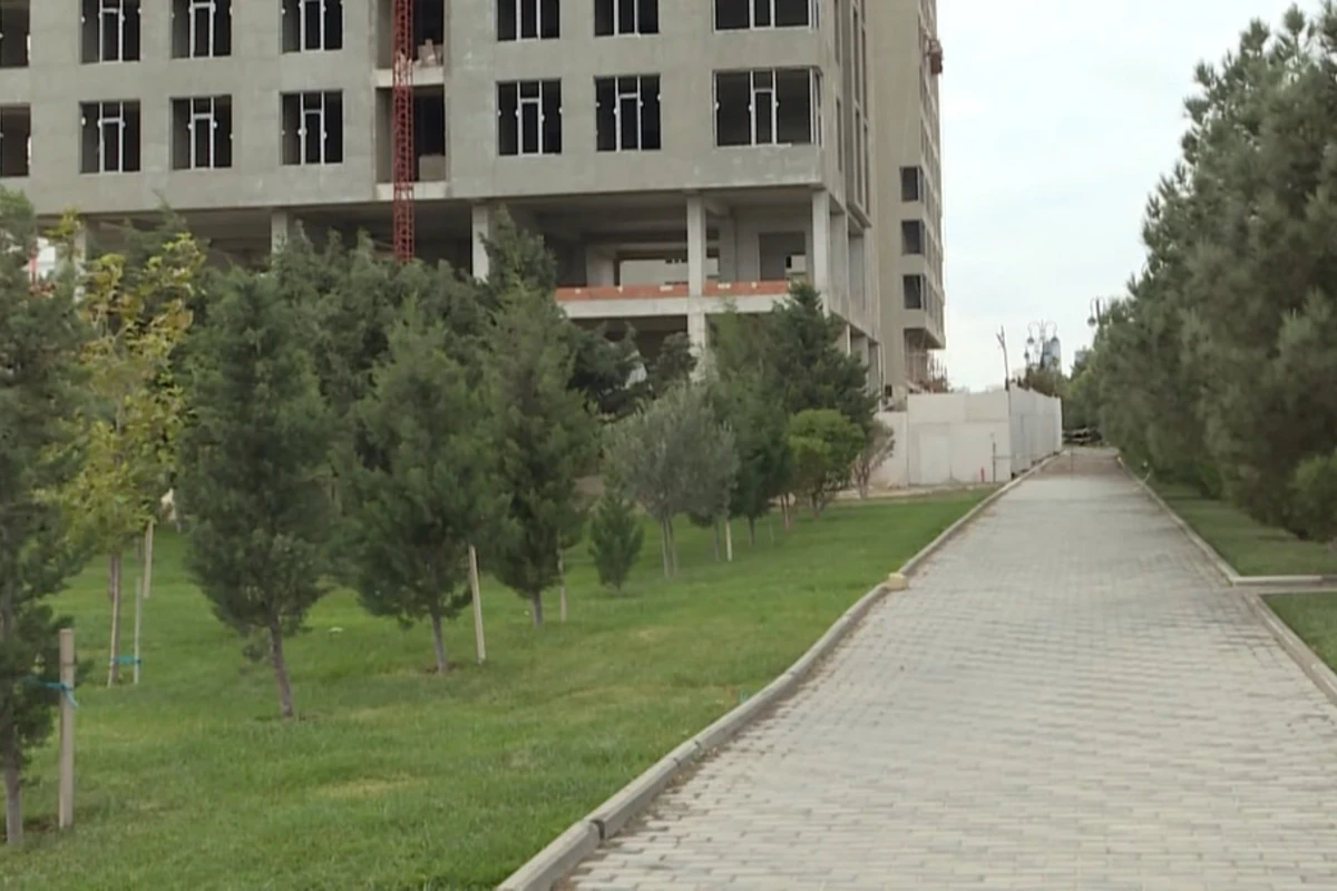 Bakıda parkdakı ağaclar yandırıb içində göydələn tikdilər - VİDEO
