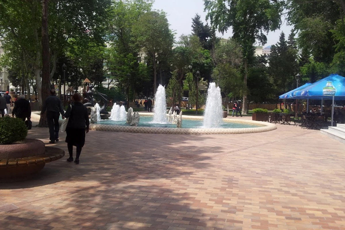 В бакинском парке девушка впала в кому