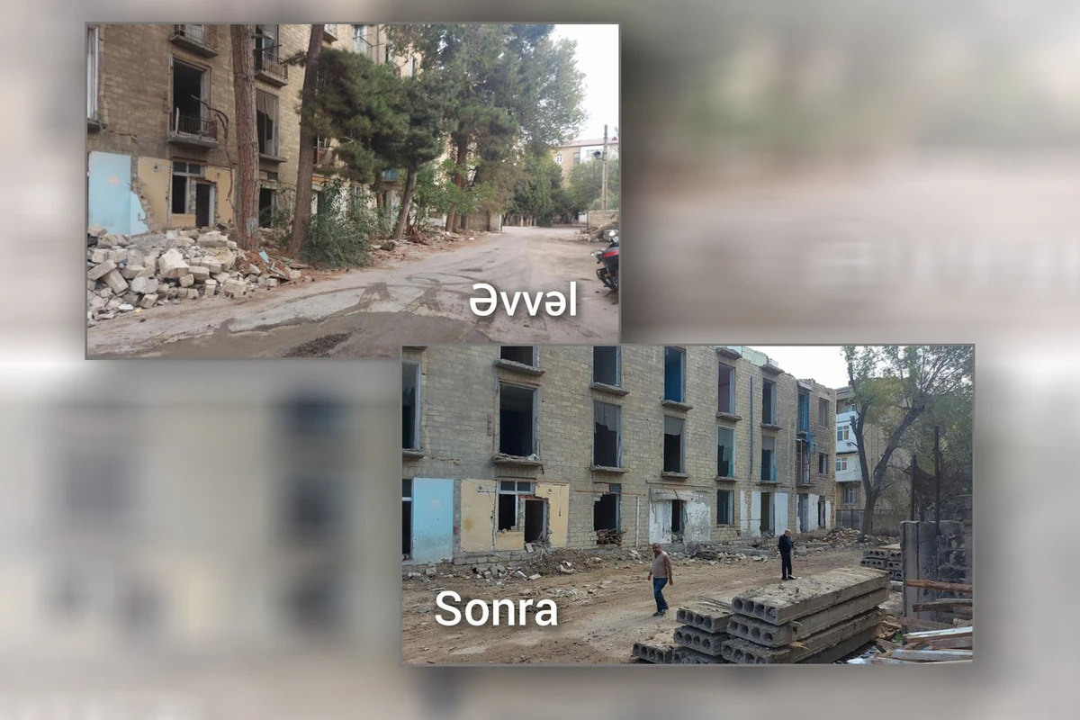 Tikinti zamanı ağacları kəsən şirkətlə bağlı sənədlər Baş Prokurorluğa göndərilib