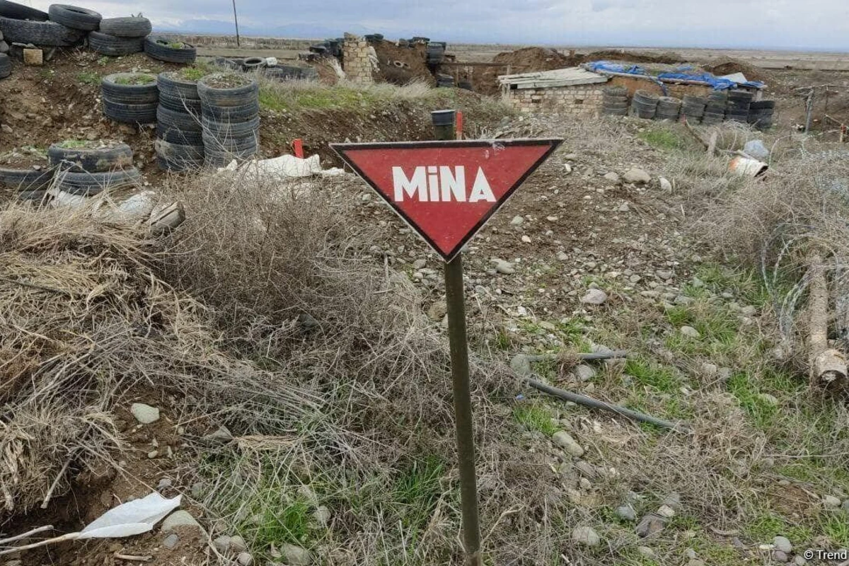 Ağdamda dörd minadan ibarət tələ-minası aşkarlanıb - FOTO