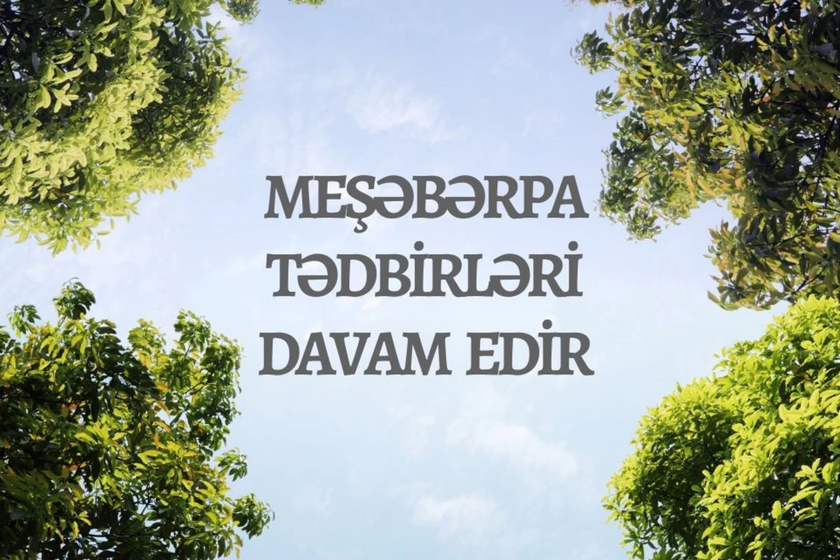 Azərbaycanda meşəbərpa tədbirləri davam edir