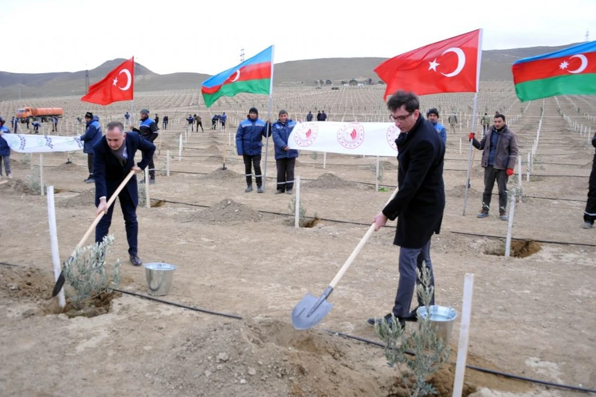 Azərbaycanda 11 noyabrda 111 111 ağac əkiləcək - FOTO