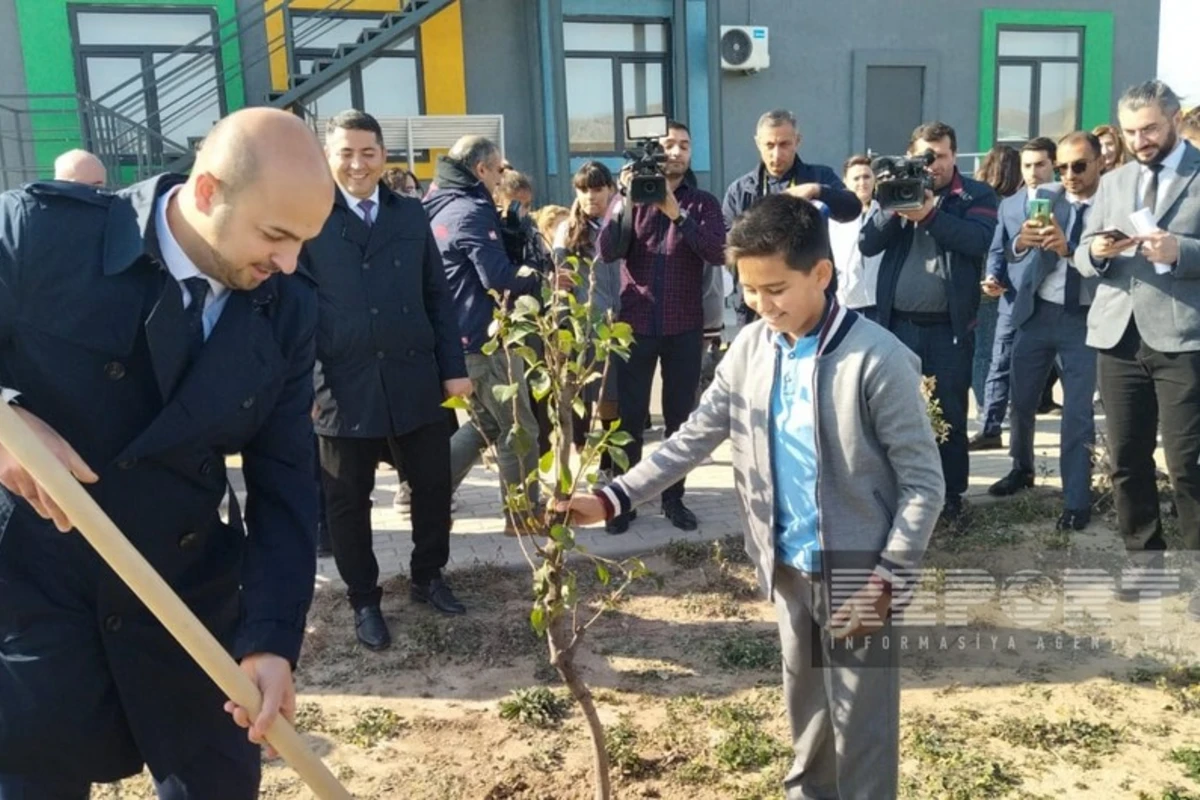 Zəfər Günü ilə bağlı Ağalı kəndində ağacəkmə aksiyası keçirilib - FOTO