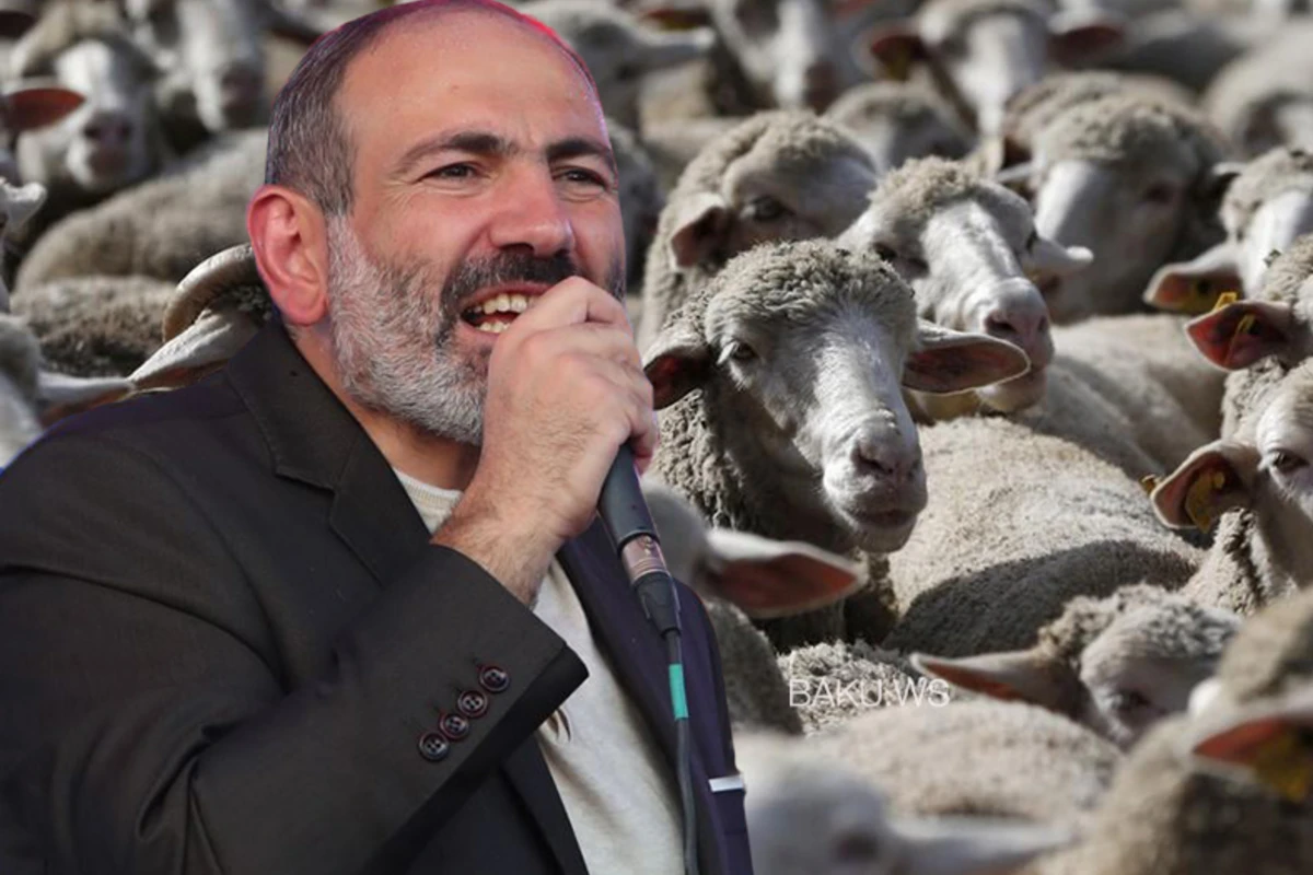 Sınıq-salxaq liderin yaratdığı eyforiya: Ermənistanda ən ağıllı Nikoldursa... Sınıq-salxaq liderin yaratdığı eyforiya: Ermənistanda ən ağıllı Nikoldursa...