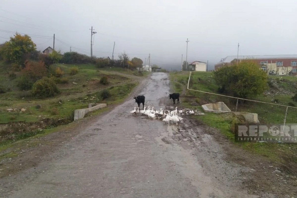 Oğuzda uzun illərdir təmir olunmayan yol yararsız vəziyyətə düşüb - FOTO