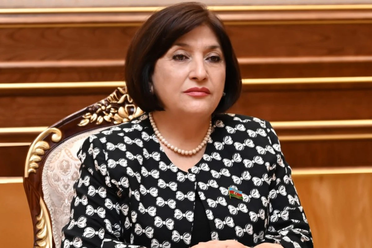 Спикер парламента Азербайджана выразила соболезнования Турции