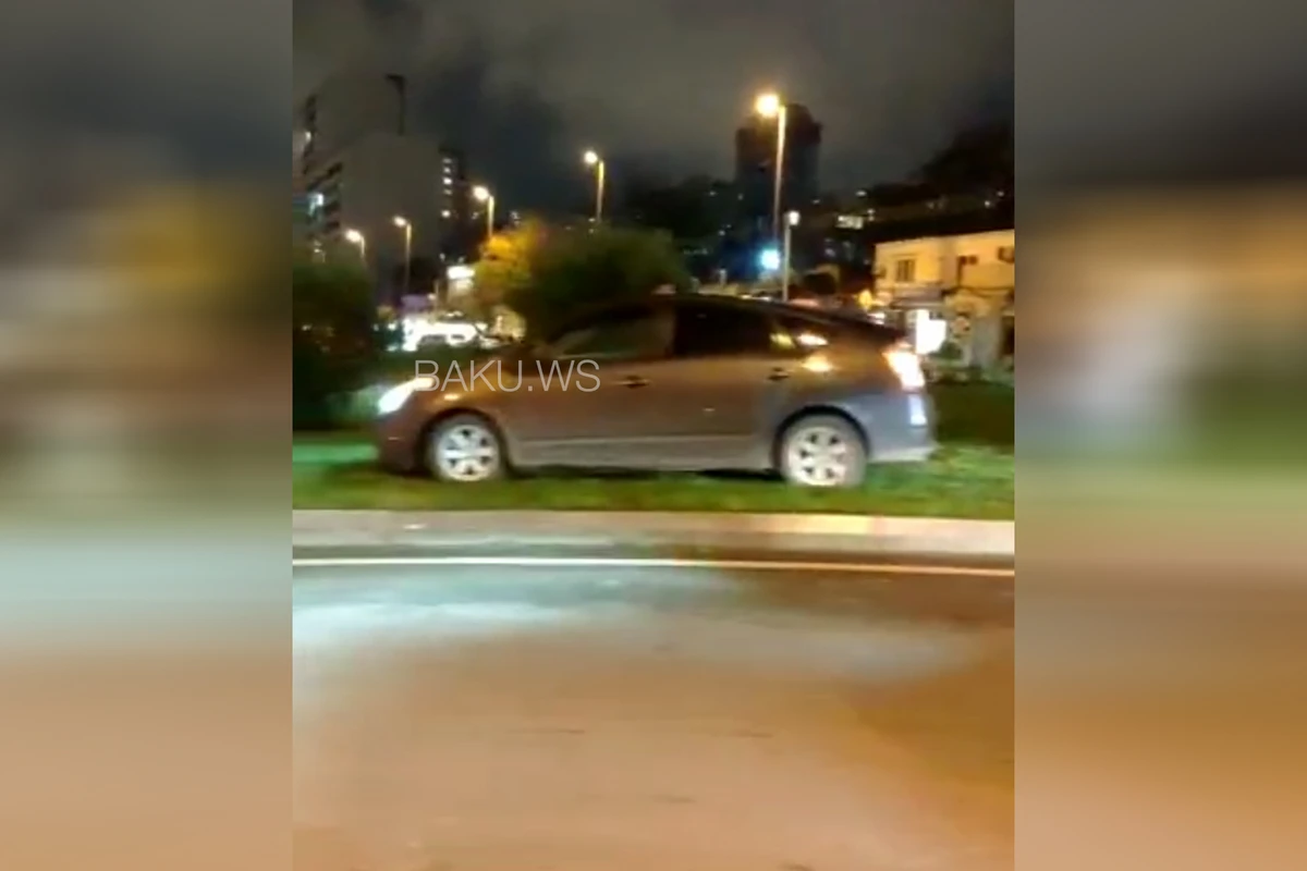 Prius прогулялся по Центральному парку - ВИДЕО