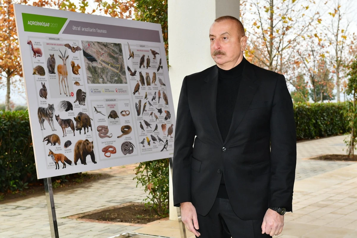 İlham Əliyev “Şəki-Oğuz” Aqroparkında yaradılan şəraitlə tanış olub - FOTO - YENİLƏNİB