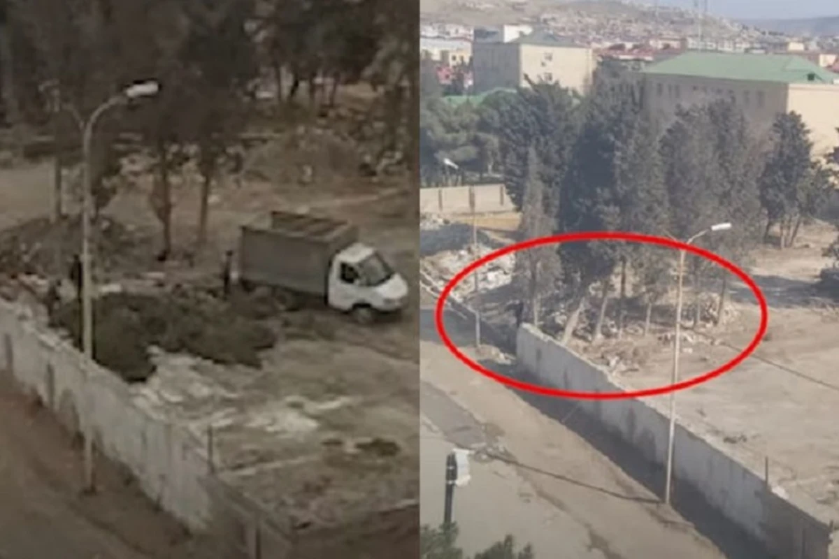 Lökbatanda kəsilən ağaclarla bağlı iş prokurorluğa göndərildi - VİDEO Lökbatanda kəsilən ağaclarla bağlı iş prokurorluğa göndərildi - VİDEO