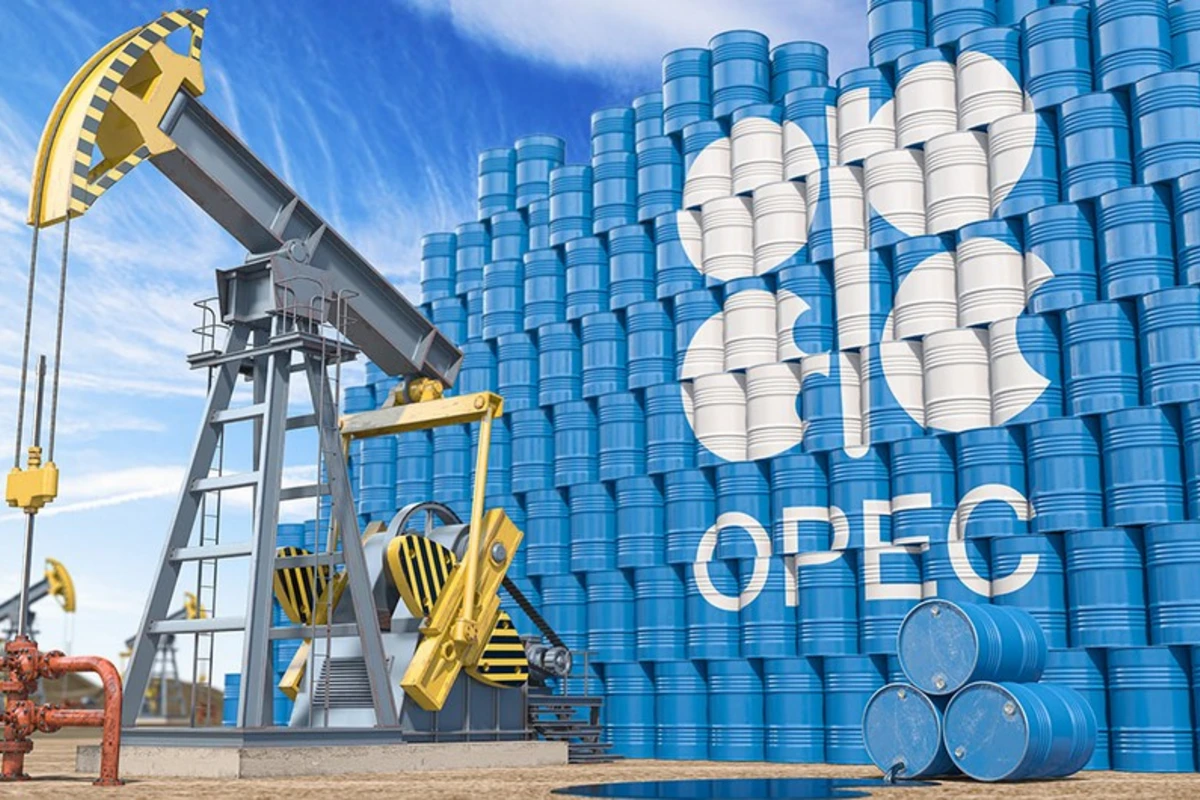 Pərviz Şahbazov OPEC-in baş katibi ilə telefonla danışıb