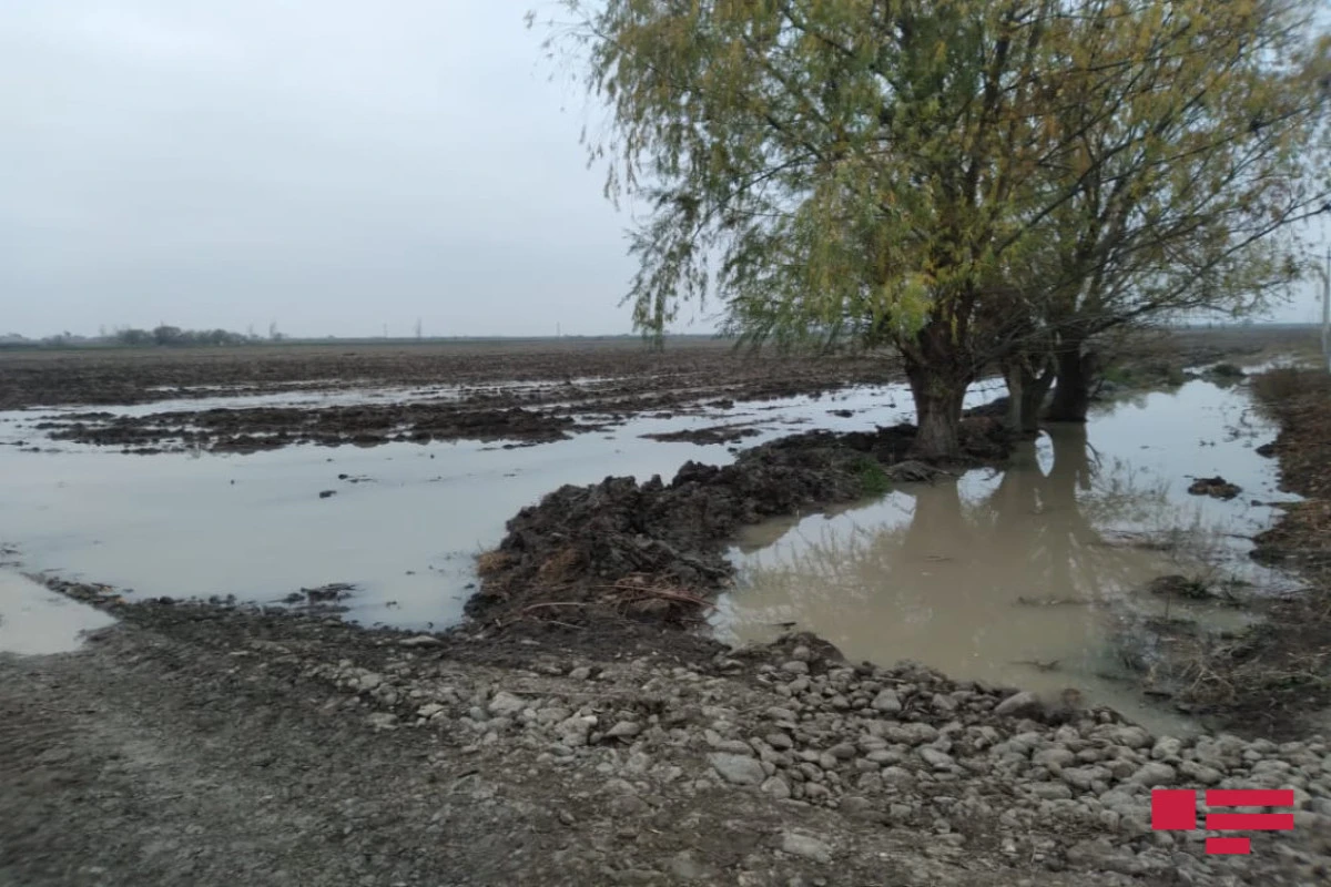 Tərtərdə su kanalı uçub, kənddə həyətləri və əkin sahələrini su basıb - FOTO