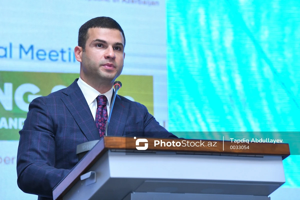KOBİA: Швейцарские компании заинтересованы в ведении бизнеса в Азербайджане