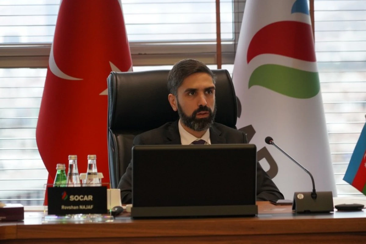 Ровшан Наджаф: Обозначены цели и планы SOCAR Türkiye - ФОТО