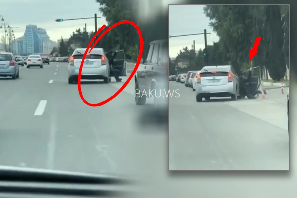 Пассажир выбросился из находившегося в движении автомобиля Prius - ВИДЕО