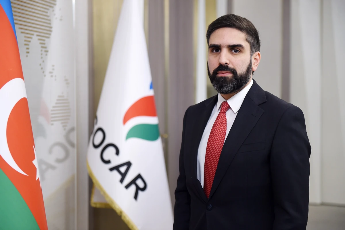 Делегация во главе с Ровшаном Наджафом посетила Турцию