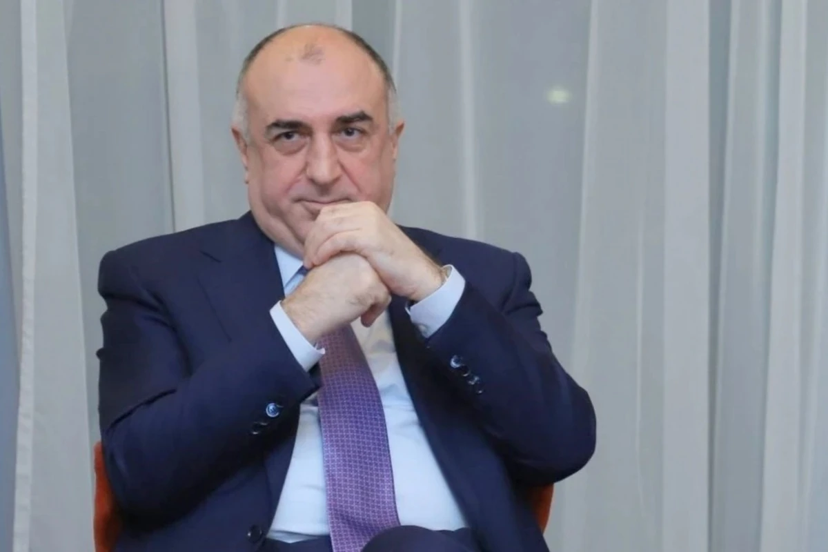 Elmar Məmmədyarov tapşırıqla XİN-ə işçi götürdüyünü etiraf etdi - VİDEO